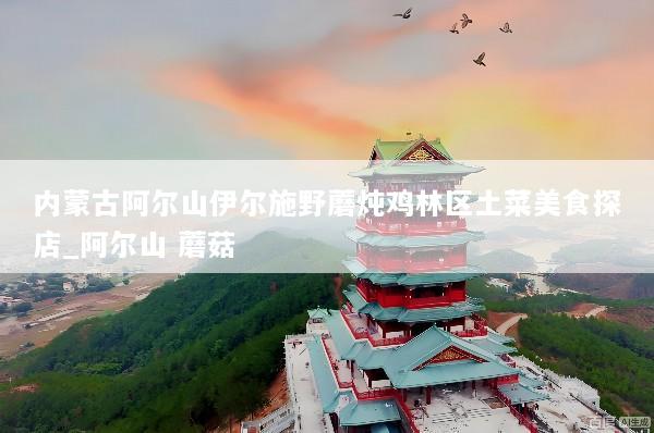 内蒙古阿尔山伊尔施野蘑炖鸡林区土菜美食探店_阿尔山 蘑菇