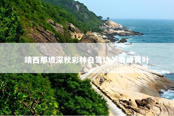 靖西那坡深秋彩林自驾边关奇峰黄叶