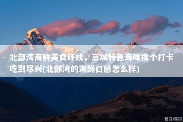 北部湾海鲜美食环线，三城特色海味挨个打卡吃到尽兴(北部湾的海鲜口感怎么样)