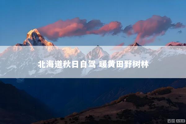 北海道秋日自驾 暖黄田野树林