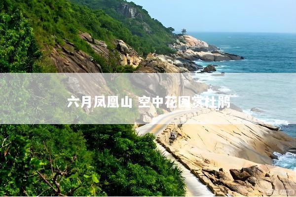 六月凤凰山 空中花园赏杜鹃