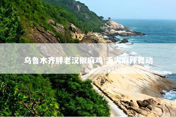 乌鲁木齐胖老汉椒麻鸡 舌尖麻辣舞动
