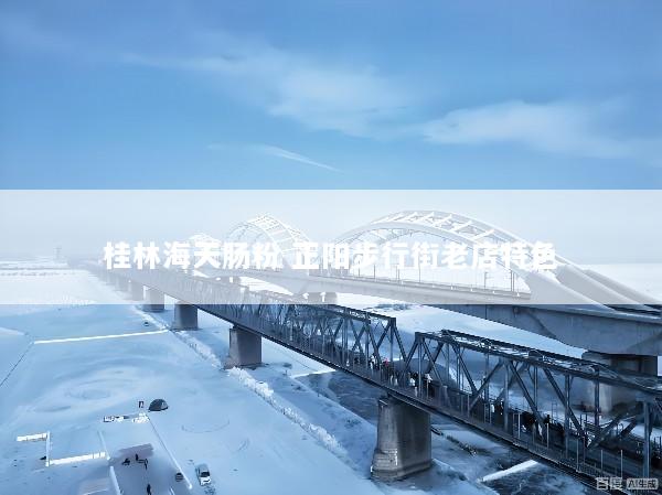 桂林海天肠粉 正阳步行街老店特色
