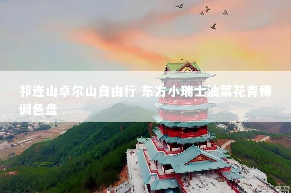 祁连山卓尔山自由行 东方小瑞士油菜花青稞调色盘