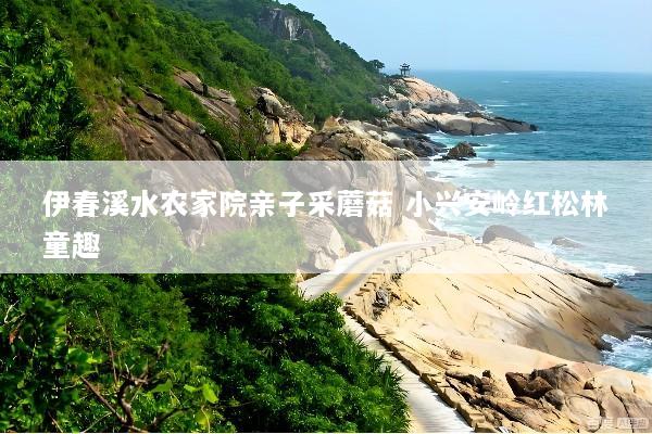 伊春溪水农家院亲子采蘑菇 小兴安岭红松林童趣