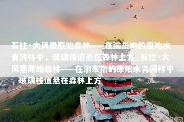 石柱·大风堡原始森林——在渝东南的原始水青冈林中，玻璃栈道悬在森林上方_石柱·大风堡原始森林——在渝东南的原始水青冈林中，玻璃栈道悬在森林上方