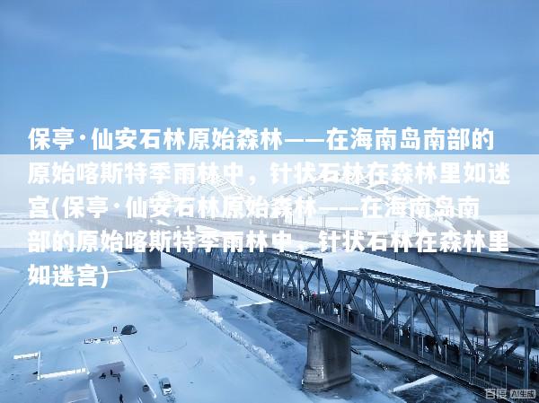 保亭·仙安石林原始森林——在海南岛南部的原始喀斯特季雨林中，针状石林在森林里如迷宫(保亭·仙安石林原始森林——在海南岛南部的原始喀斯特季雨林中，针状石林在森林里如迷宫)