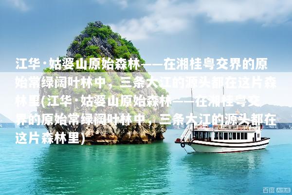 江华·姑婆山原始森林——在湘桂粤交界的原始常绿阔叶林中，三条大江的源头都在这片森林里(江华·姑婆山原始森林——在湘桂粤交界的原始常绿阔叶林中，三条大江的源头都在这片森林里)