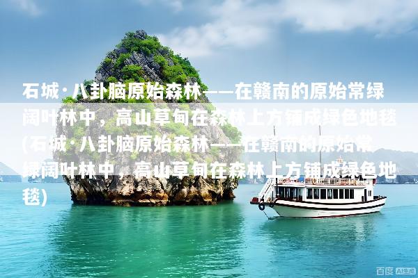 石城·八卦脑原始森林——在赣南的原始常绿阔叶林中，高山草甸在森林上方铺成绿色地毯(石城·八卦脑原始森林——在赣南的原始常绿阔叶林中，高山草甸在森林上方铺成绿色地毯)