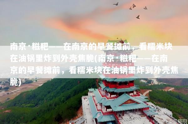 南京·糍粑——在南京的早餐摊前，看糯米块在油锅里炸到外壳焦脆(南京·糍粑——在南京的早餐摊前，看糯米块在油锅里炸到外壳焦脆)