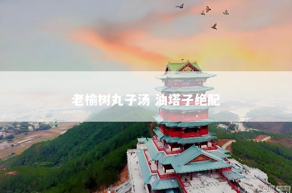 老榆树丸子汤 油塔子绝配