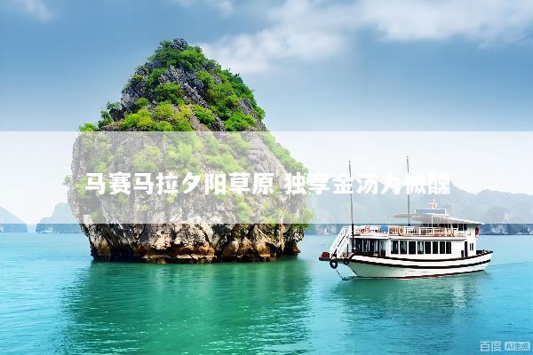马赛马拉夕阳草原 独享金汤力微醺