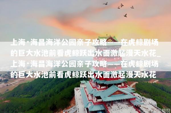 上海·海昌海洋公园亲子攻略——在虎鲸剧场的巨大水池前看虎鲸跃出水面激起漫天水花_上海·海昌海洋公园亲子攻略——在虎鲸剧场的巨大水池前看虎鲸跃出水面激起漫天水花
